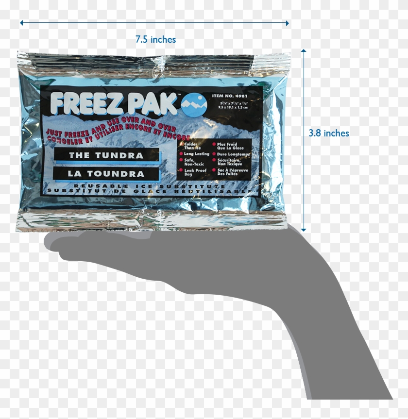 Frzpktundra Front Dimensions - Eyelash Extensions Clipart