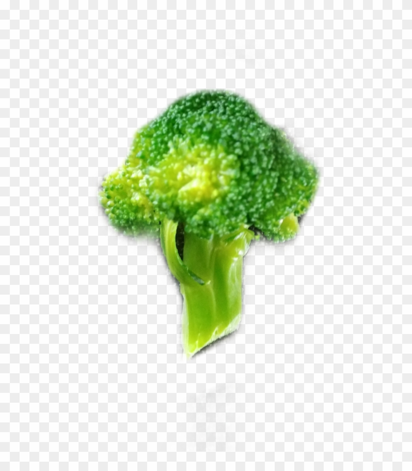 Broccoli Clipart #4571172