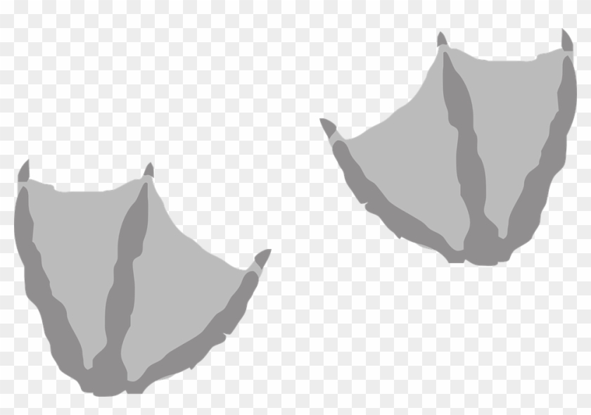 Footprints Markings Webbed Tracks Duck Footstep - Transparent Duck Feet Clipart