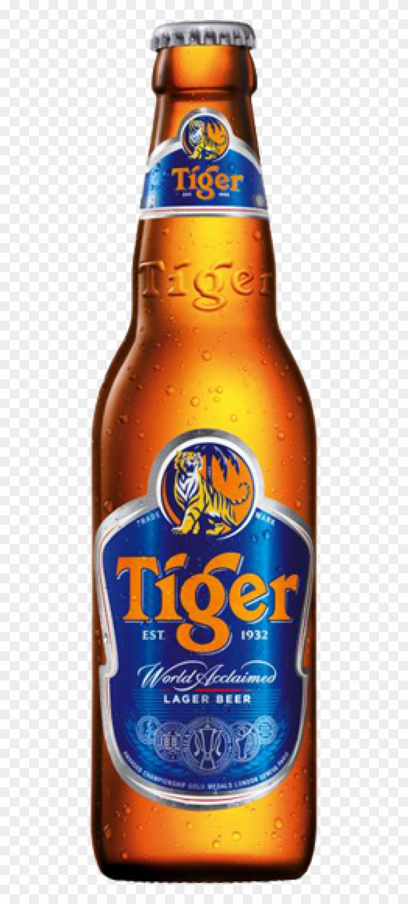 1000 X 1791 10 - Tiger Beer Bottle Clipart