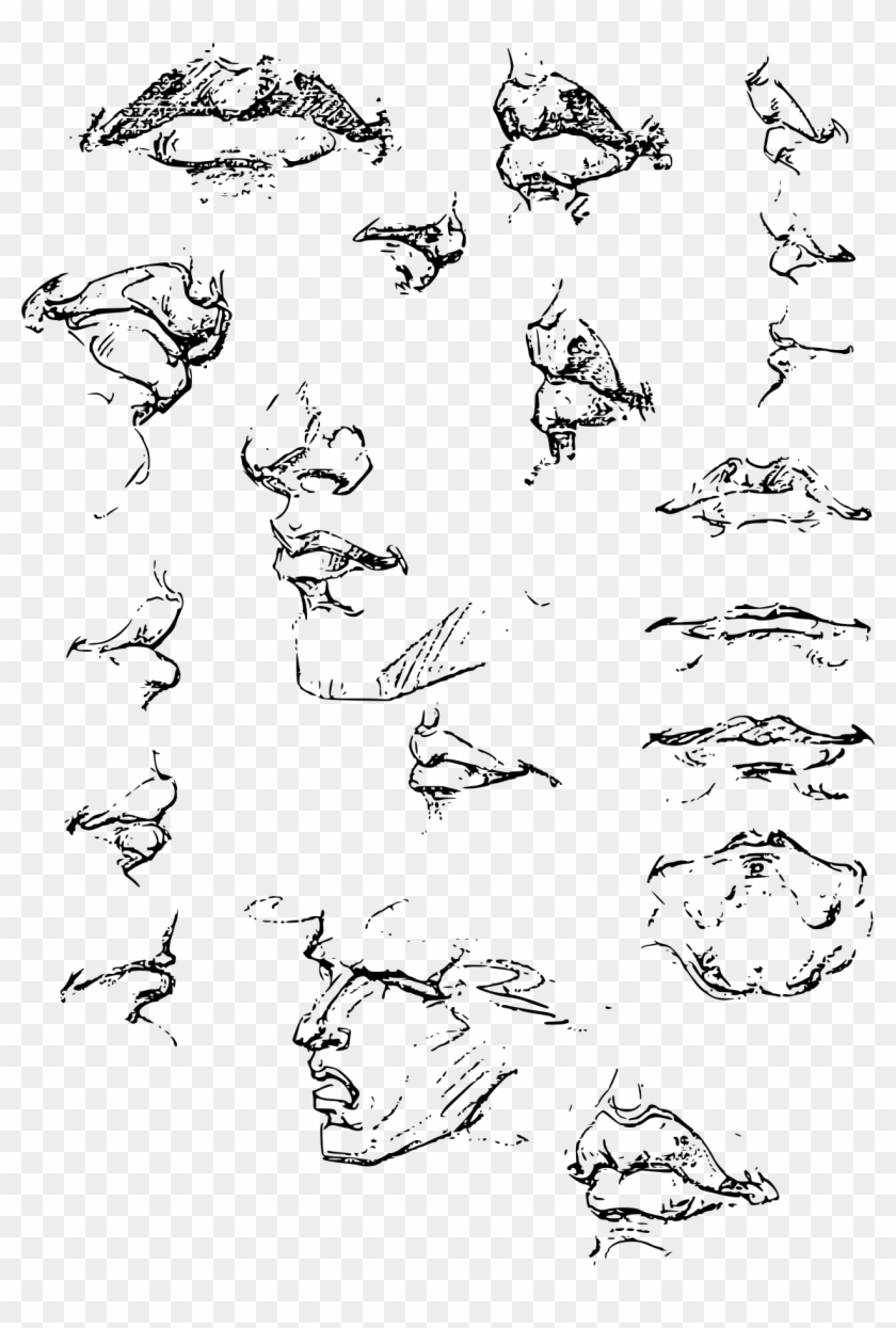 This Free Icons Png Design Of Constructive Anatomy - Constructive Anatomy Book Clipart