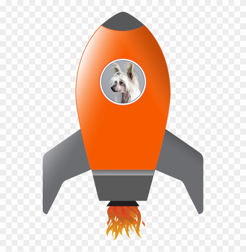 Rocket-dog - Chinese Crested Dog Clipart