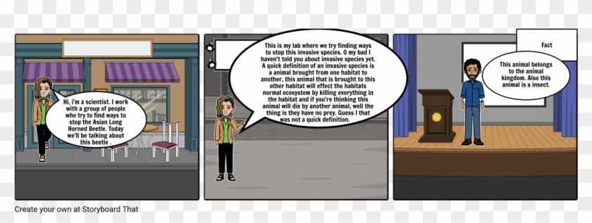 Asian Beetle - Cartoon Clipart