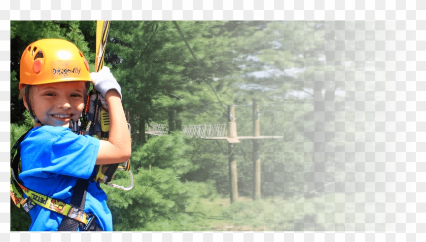 Host A Dragonfly Party For Your Child - Grove Clipart #4573163