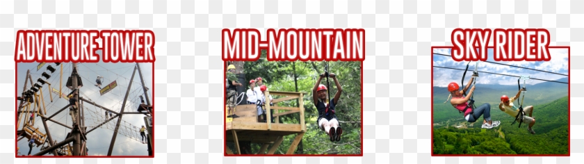 Zipline Adventure Tours - Dog Catches Something Clipart