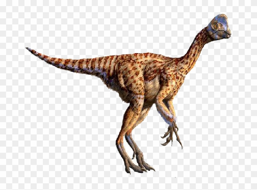 Egg Thief Period - Oviraptor Philoceratops Clipart