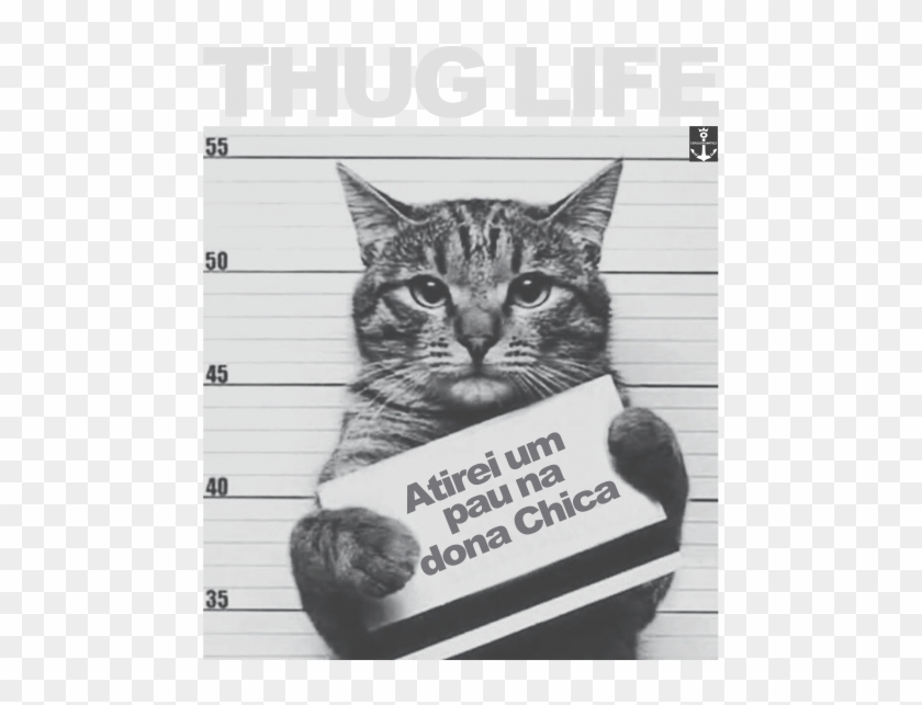 Domestic Short-haired Cat Clipart #4576175