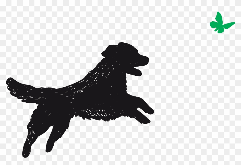 Connect With Us - Dog Catches Something Clipart #4576176