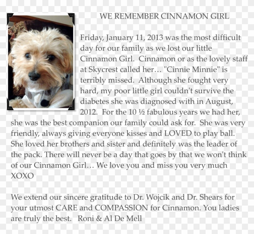 Homer Was The We Remember Cinnamon Girl Friday, January - Morkie Clipart #4576225