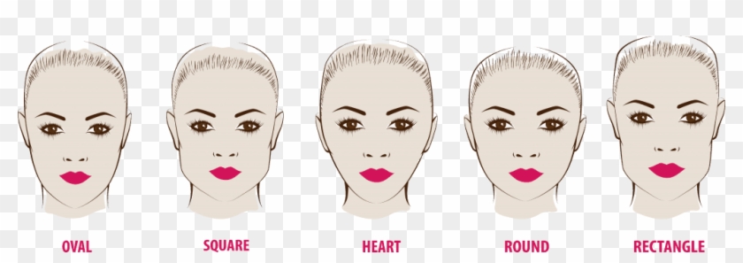 Contour For Square Face Clipart #4577050