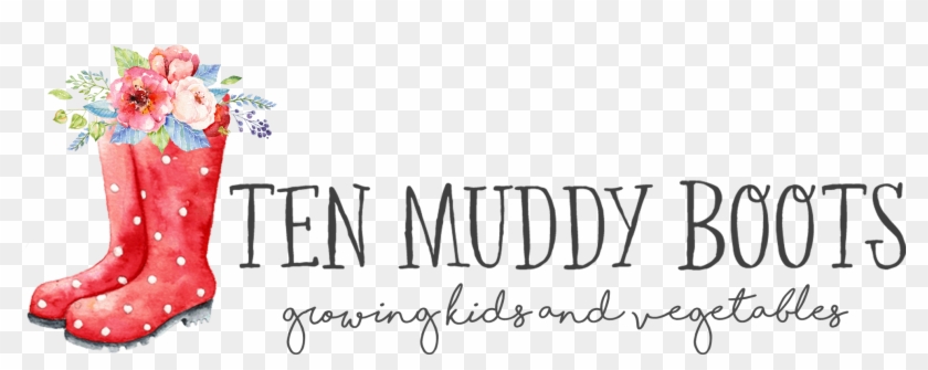 Calligraphy Clipart #4577264