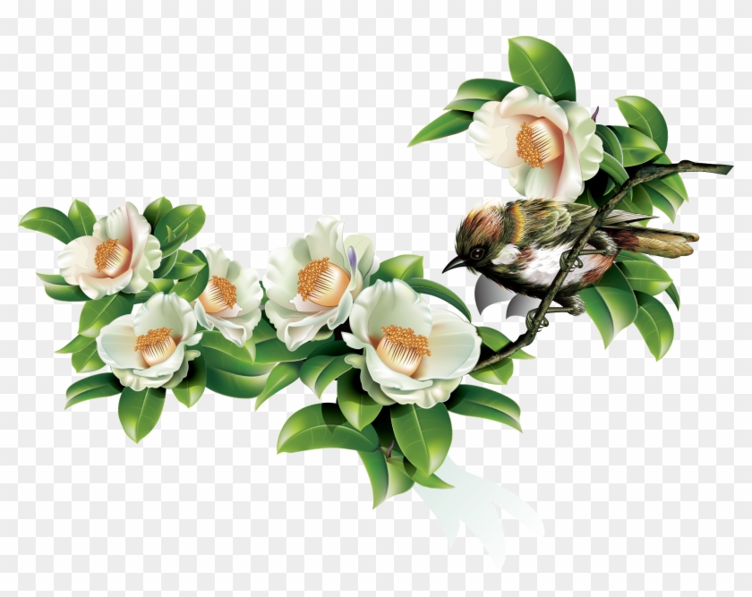 Green Leaves And Birds In Spring - Japanese Camellia Clipart #4577910
