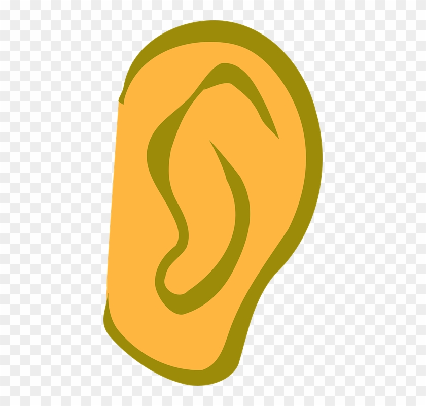 Ear Cup Clipground Free Vector Graphic Hear Ⓒ - Ear Clip Art - Png Download #4578189