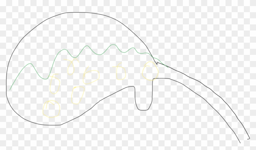 Finger Clipart In Ear - Drawing - Png Download #4578303