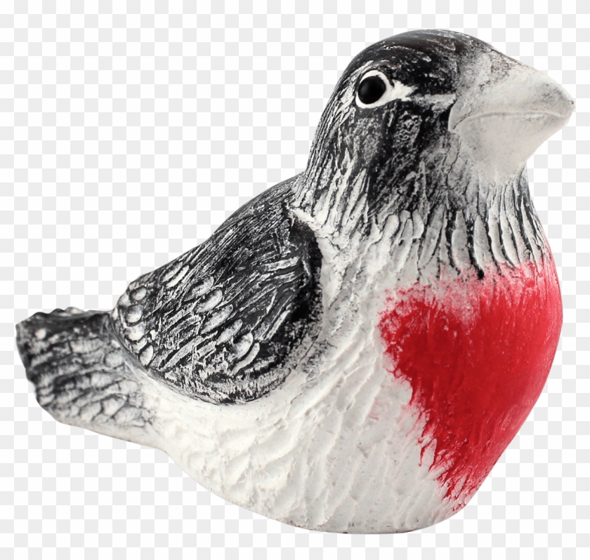Bursting With Black, White And Rose Red, Male Rose - Rose Breasted Grosbeak Clipart #4578892