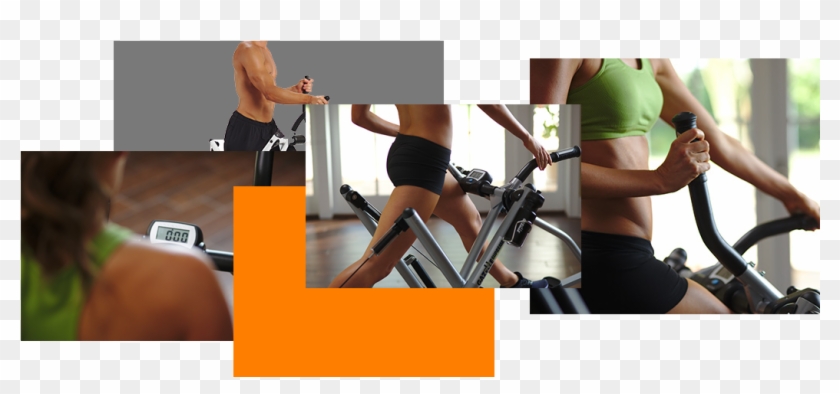 Muscle Building - Pilates Clipart