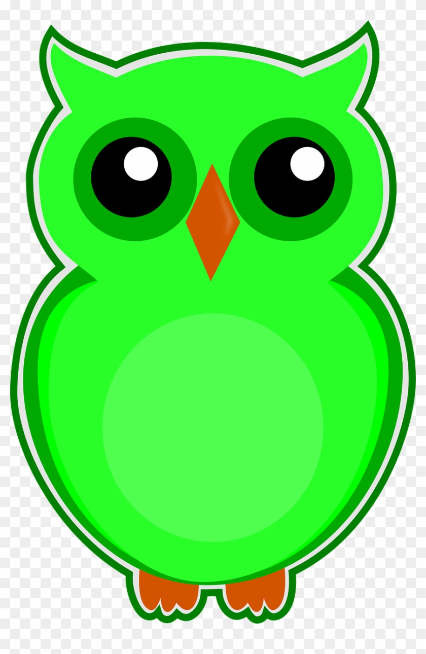 Owl Green Bird - Owls Png Clipart Eksen Transparent Png