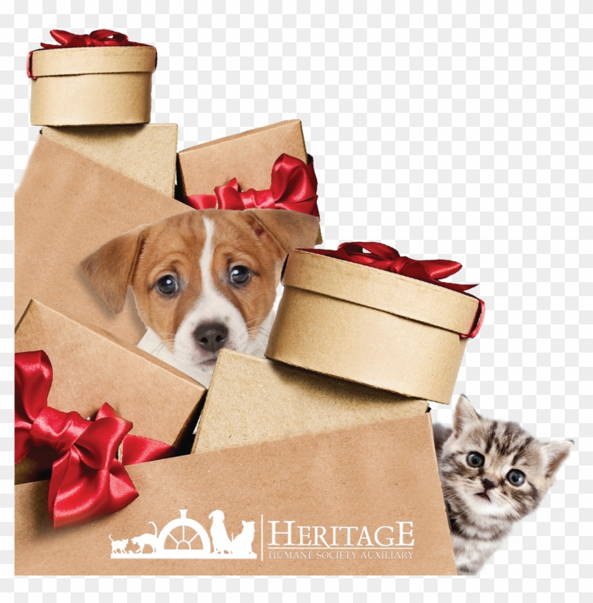 Christmas Bazaar - Tabby Cat Clipart #4582768