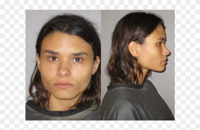 Palm Coast Woman Arrested After Allegedly Threatening - Girl Clipart #4582801