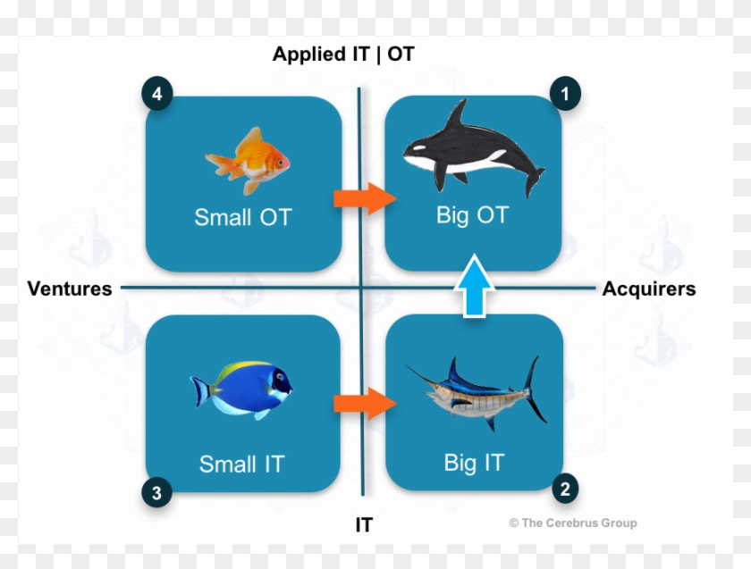 It Ot Fish - Iot It Ot Clipart