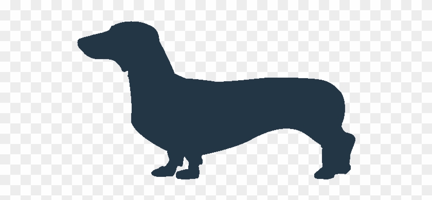 Dachshund Icon Clipart