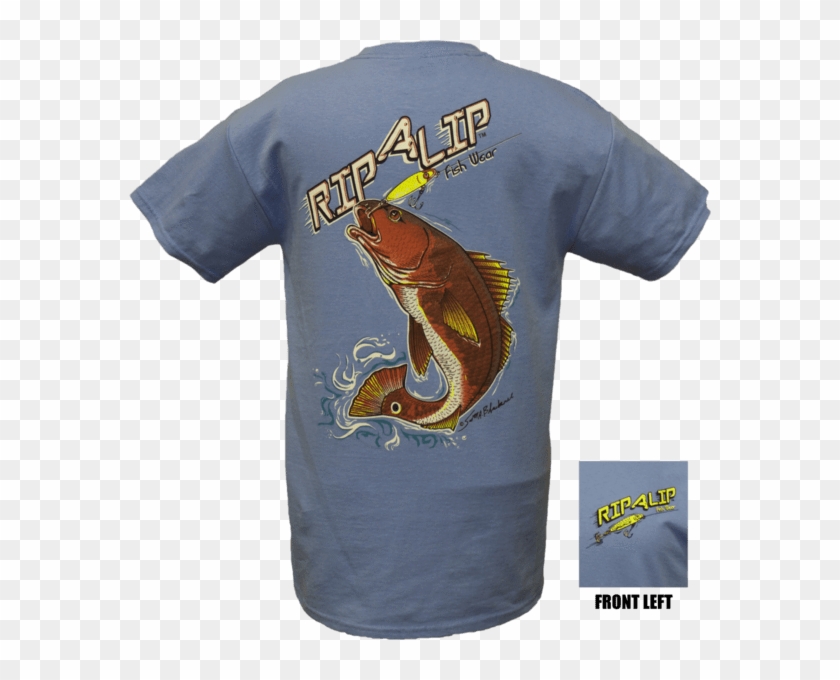 Redfish Shirt - Bass Clipart #4583240