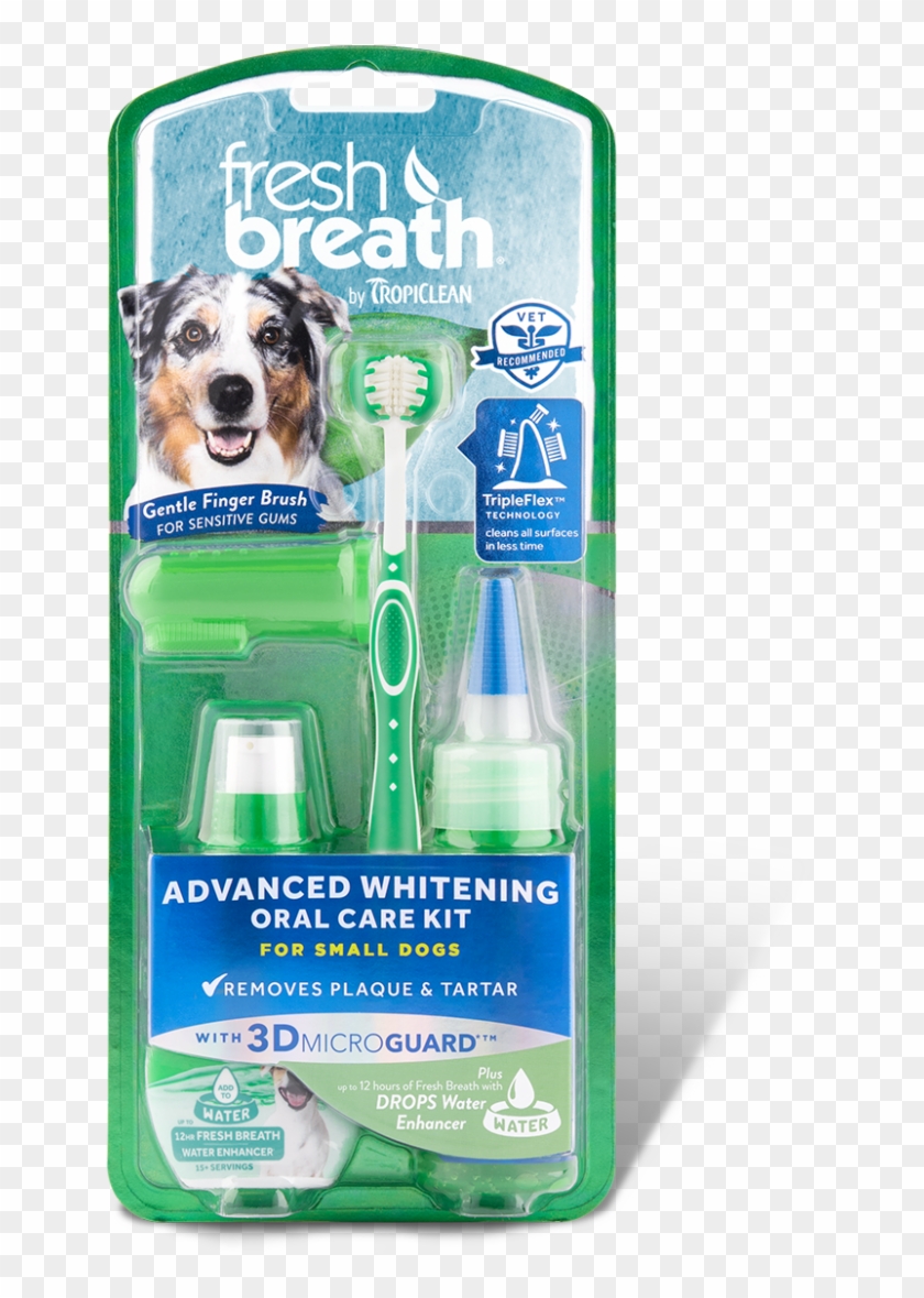 Rollover To Zoom - Fresh Breath Advanced Whitening Clipart #4583654
