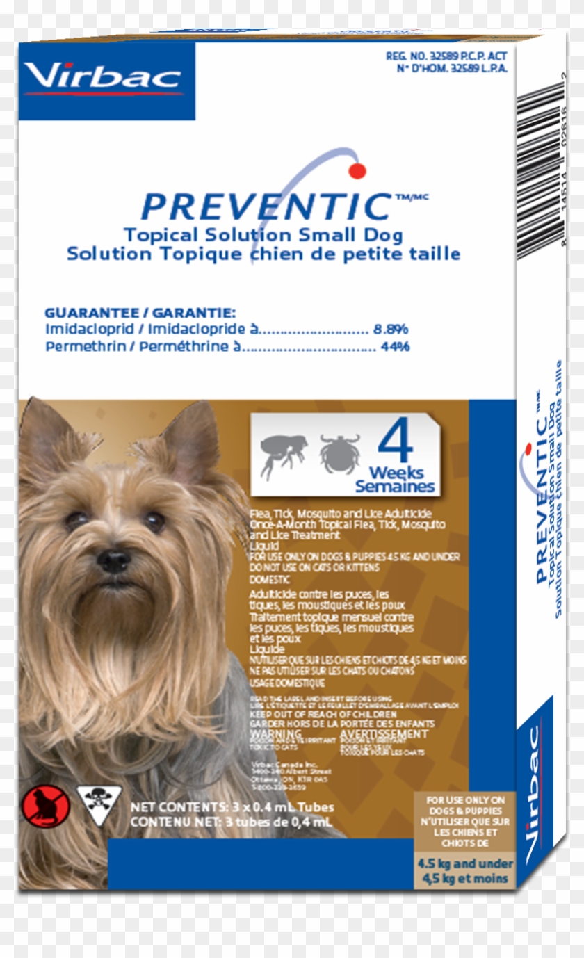 Small Dog - Yorkshire Terrier Clipart