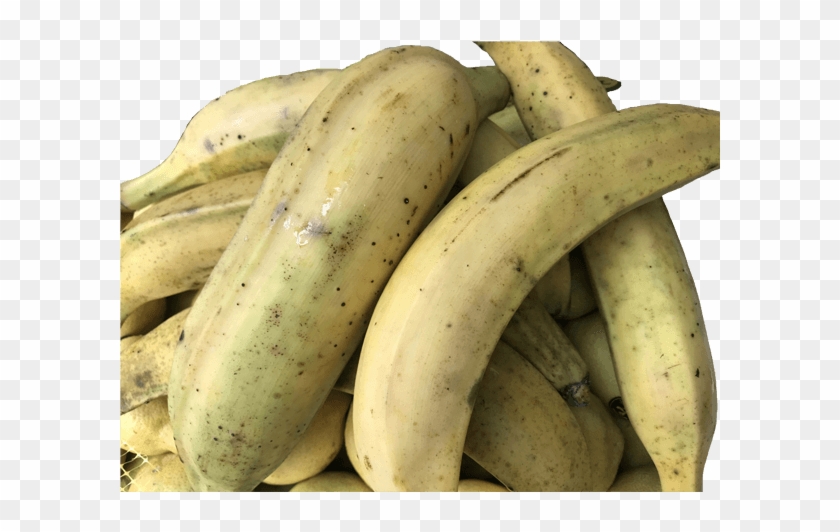 Plátano Maduro - Saba Banana Clipart