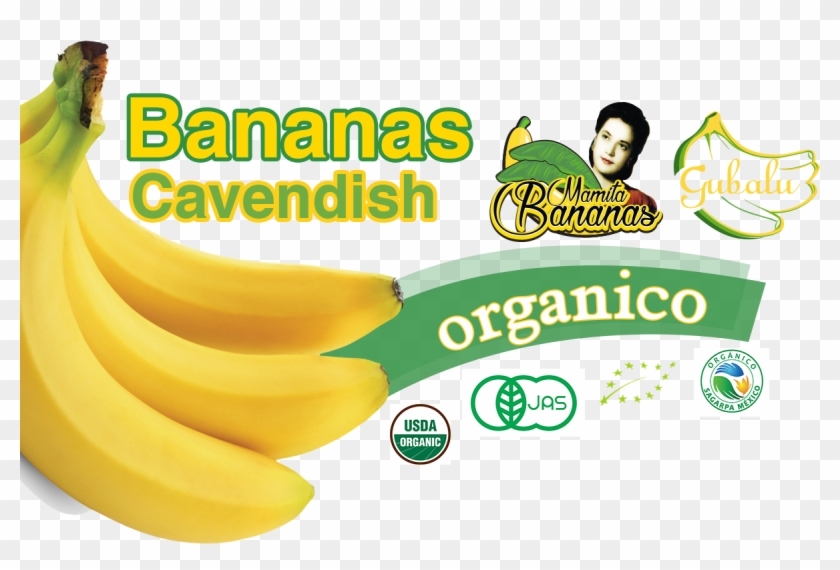 Nuestras Marcas - Saba Banana Clipart