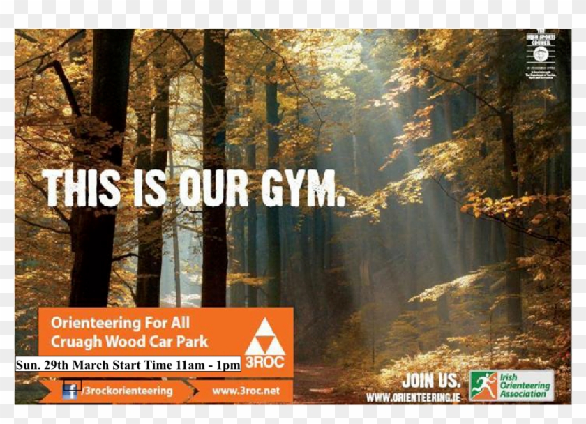 2014 Rg Map - Forest In The Fall Clipart