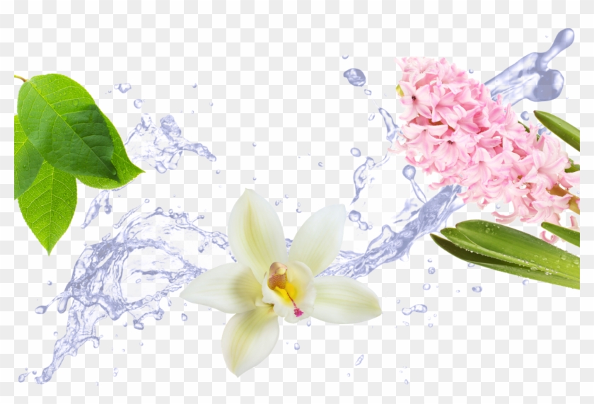 Created With Sketch - Signs Of Fragrance In Floral Pattern Png Transparent Clipart