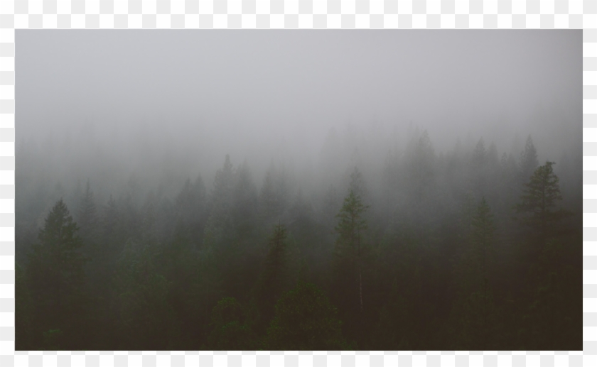 Score 50% - Mist Clipart #4586525