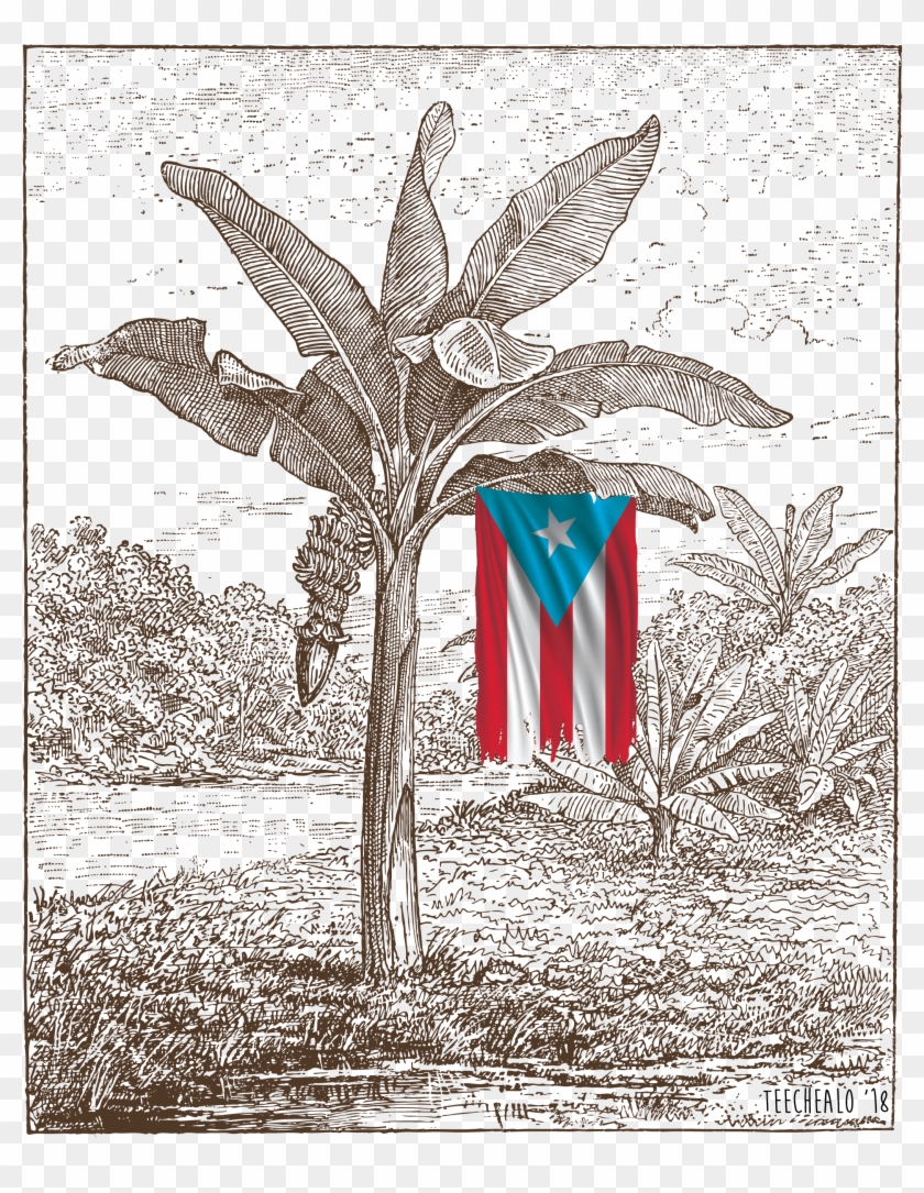 Custom Tshirt Printing, Custom T Shirts, T Shirt - Cooking Banana Clipart