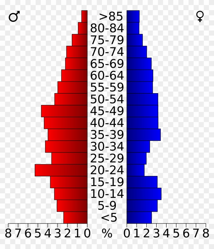 Population Pyramid Of Palm Beach County , Png Download - Population Pyramid Of Boulder Clipart