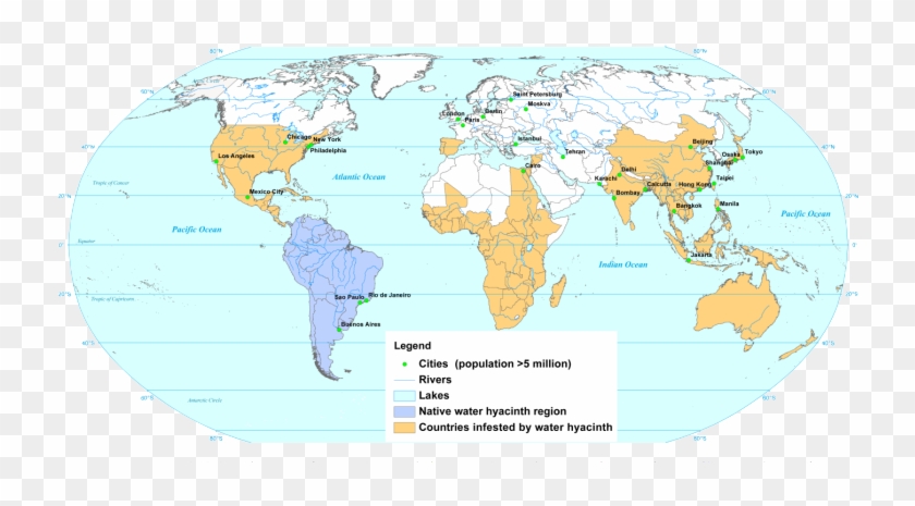 The Water Hyacinth - Water Hyacinth Invasive Map Clipart #4586766