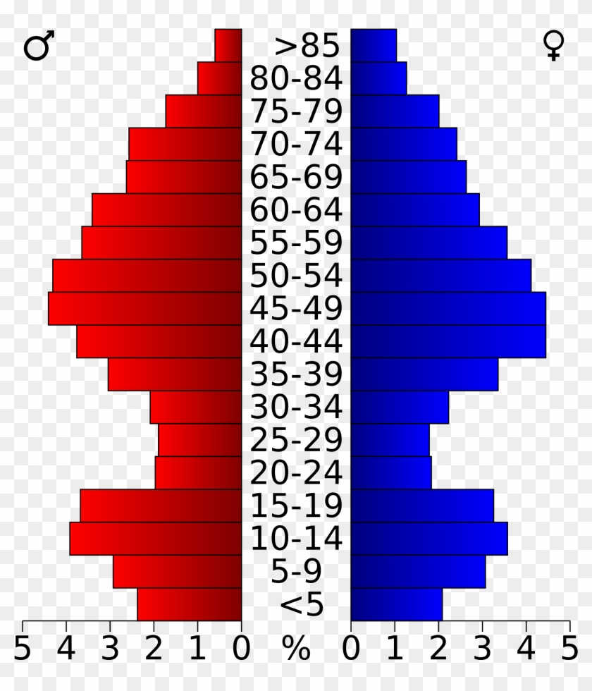 Population Pyramid Of Palm Beach County , Png Download - Population Pyramid Of New Jersey Clipart