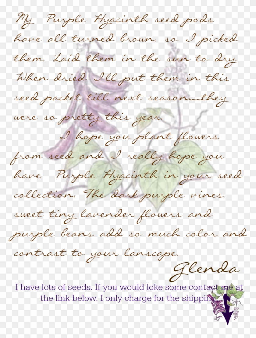 Brown Paper Bag Purple Hyacinth Seed Packet , Png Download - Purple Hyacinth Bean Vine Clipart #4586992
