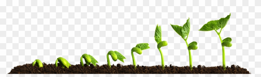 Grow Png Transparent Picture - Growing Plant Clipart (#4588008) - PikPng