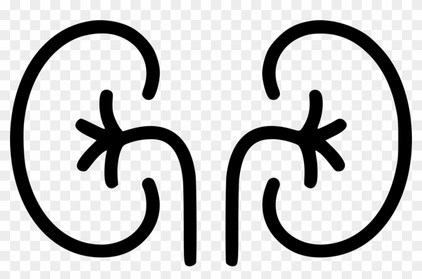 Png File Svg - Organs Icon Png Clipart #4588037