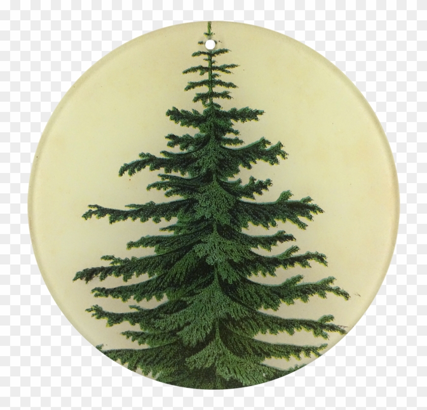 Christmas Tree Clipart #4589011