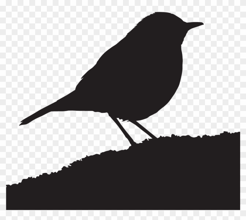 Wood Thrush - Wood Thrush Silhouette Clipart