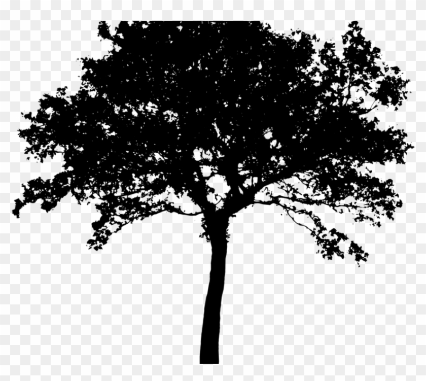 Wood Cruz Lawn Care And Landscaping Garden Art Free - Tree Silhouette No Background Clipart