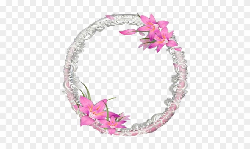 #mirror #frame #board #boarder #background #photo #picture - Bougainvillea Clipart