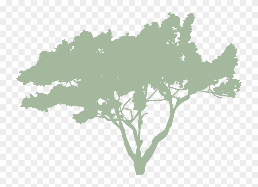 Decorative Tree - Take It Outside Clipart