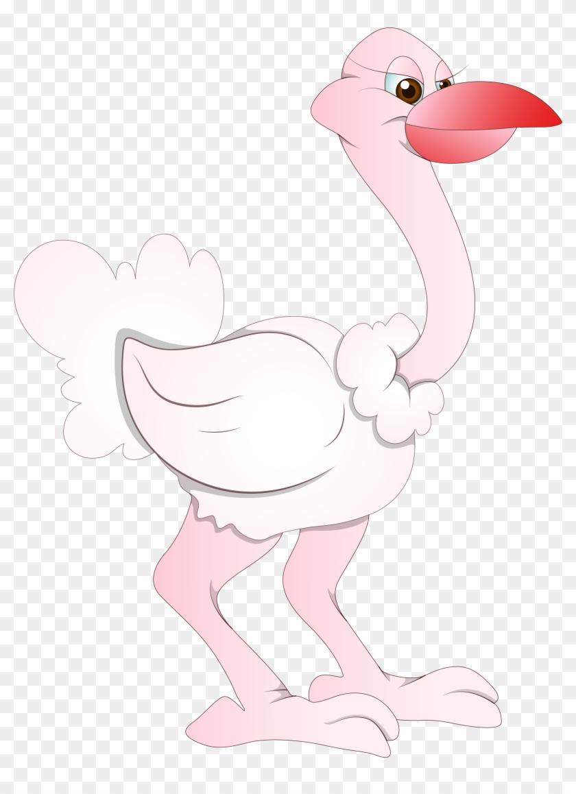 Common Bird Cartoon Drawing Feather Transprent Png - Cartoon Clipart