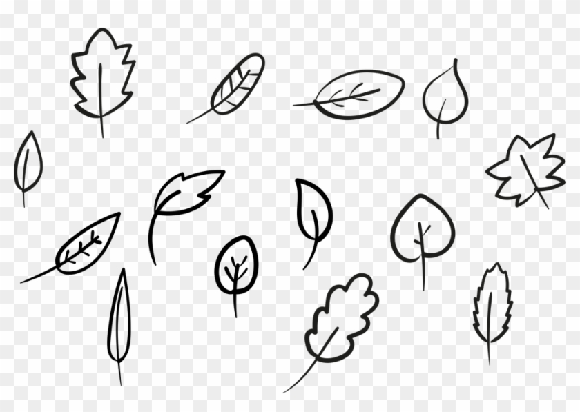 Leaf Leaves Autumn Forest Green Tree Nature Wood - List Obrázek Clipart #4591065