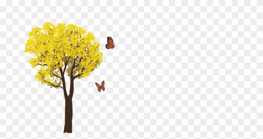 2018 04 11 Img Frases 1 - Io Moth Clipart