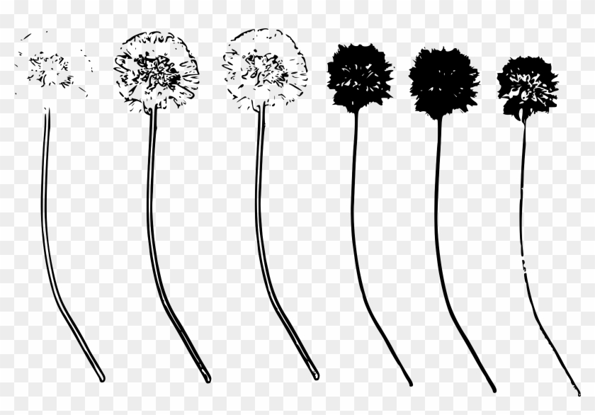 More Importantly, Cole Found That Sensitivity To Social - Floral Design Clipart #4591568