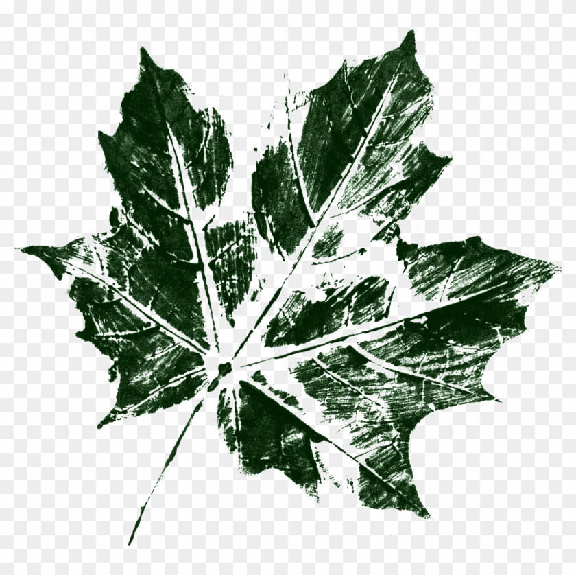 Free Download - Maple Leaf Clipart #4591632